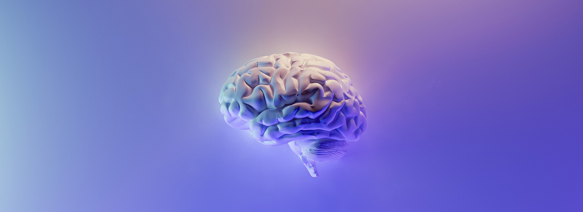 Neurociencias del aprendizaje Neurociencias del aprendizaje